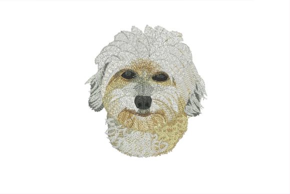 A Professional Designer's Review of the Shih Tzu Embroidery